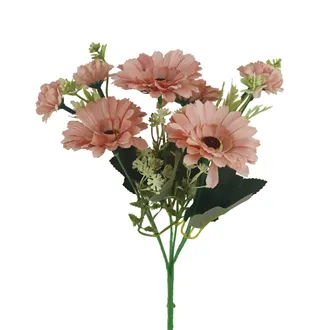 Gerbera X6952-30